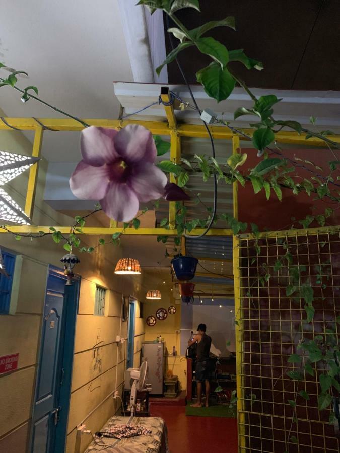 The Little Blue Window Hostel Bangalore Luaran gambar